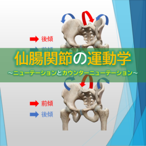 LemOon,, 専用 ①運動機能障害の理学療法 ② 骨盤と仙腸関節の機能解剖 骨盤と仙腸関節の機能解剖 骨盤帯を整えるリアラインアプローチ